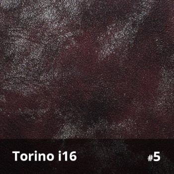 Torino i16 5